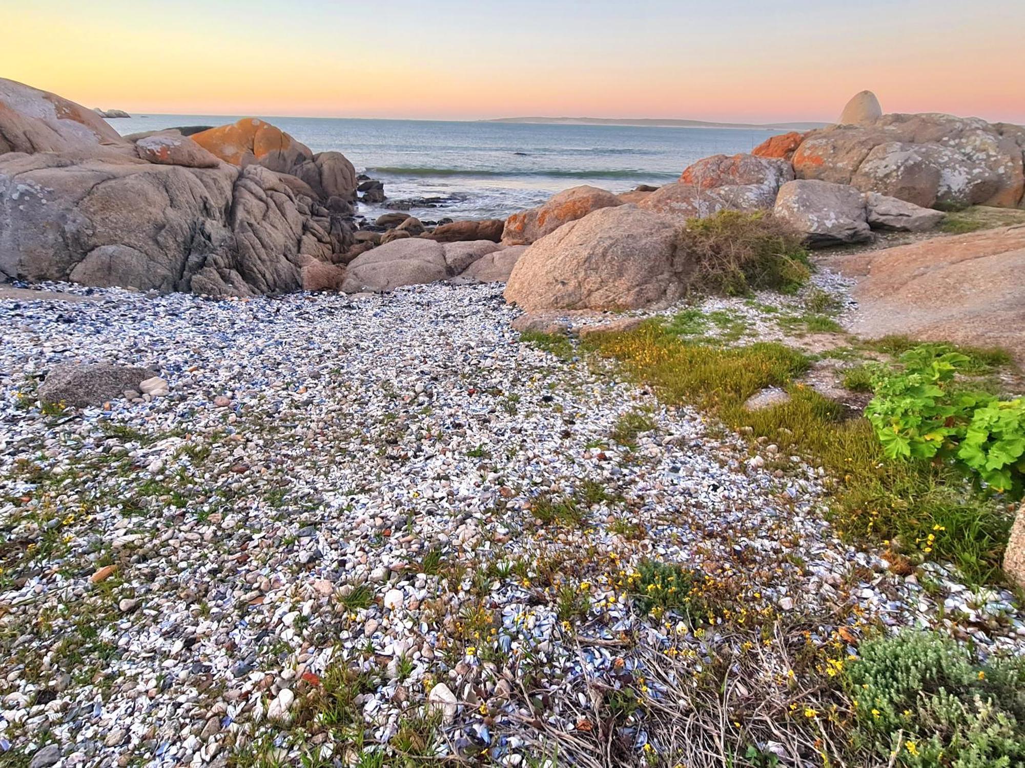 Flamink Beach View Cottage In Paternoster Exterior photo